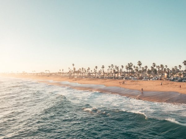 Photo translation office