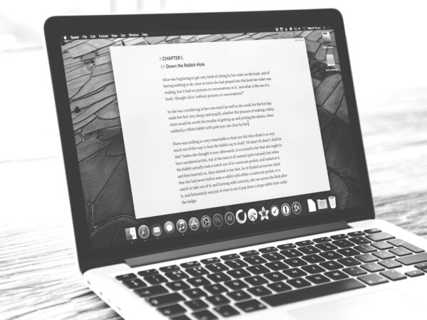 Photo copyright law internet